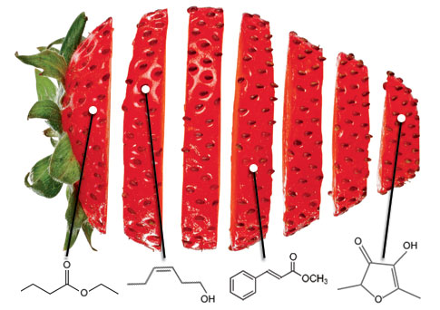 http://cocina-molecular.com/images/strawberry_485.jpg